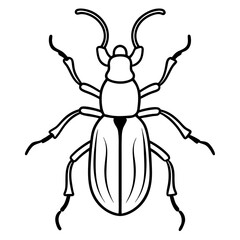 Weevil  line art vector illustration 