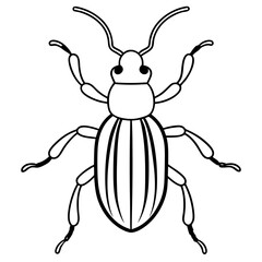Weevil  line art vector illustration 