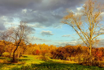 Autumn landscape with green grass