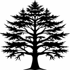 Obraz premium thuja-tree-silhouette