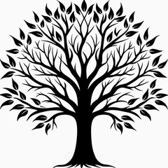 Obraz premium tilia-tree-silhouette