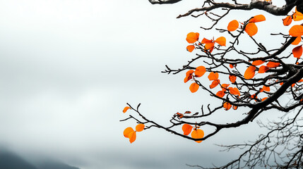 Orange leaves cling to bare branches against a misty sky.