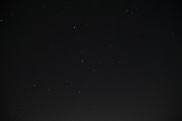 orion