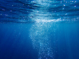 Air bubbles underwater rising to water surface, natural scene, bubbles under water, bubble...