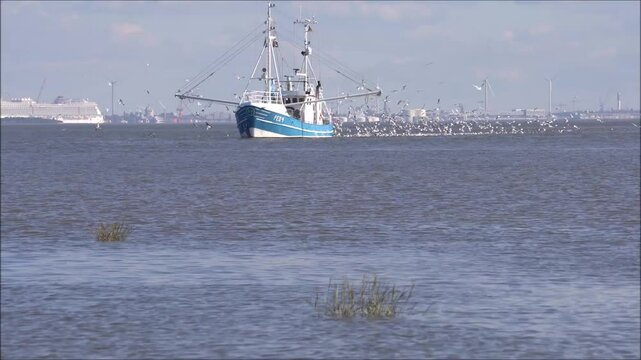 Ein Fischkutter umringt von M&ouml;wen auf der Nordsee, der gerade am fischen ist