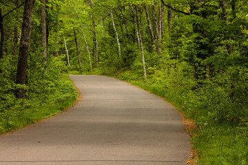 Obraz premium Rural roadway, which is also a bike path, winds through the northern woods along the eastern shoreline along Trout Lake in Vilas County near Boulder Junction, Wisconsin in late May.