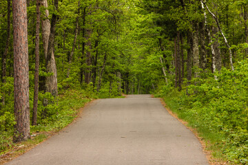 Rural roadway, which is also a bike path, disappears into the woods along the eastern shoreline along Trout Lake in Vilas County near Boulder Junction, Wisconsin in late May.