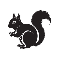 squirrel silhouette vector, black and white silhouette, vector and illustration, isolated on white background