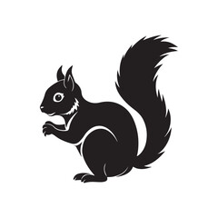 squirrel silhouette vector, black and white silhouette, vector and illustration, isolated on white background