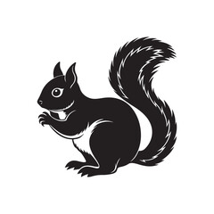 squirrel silhouette vector, black and white silhouette, vector and illustration, isolated on white background