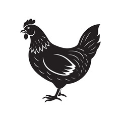 Chicken hen silhouette vector, black and white silhouette, vector and illustration, isolated on white background