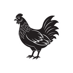 rooster silhouette vector, black and white silhouette, vector and illustration, isolated on white background