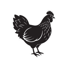 Chicken hen silhouette vector, black and white silhouette, vector and illustration, isolated on white background