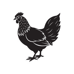 rooster silhouette vector, black and white silhouette, vector and illustration, isolated on white background