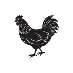 rooster silhouette vector, black and white silhouette, vector and illustration, isolated on white background