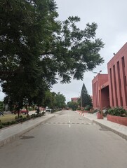 Lush Greenery in a Serene In My University Campus