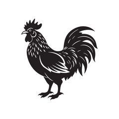 rooster silhouette vector, black and white silhouette, vector and illustration, isolated on white background