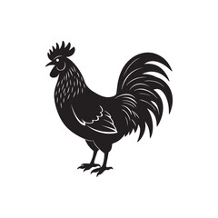 rooster silhouette vector, black and white silhouette, vector and illustration, isolated on white background