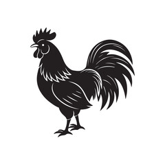 rooster silhouette vector, black and white silhouette, vector and illustration, isolated on white background