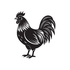 rooster silhouette vector, black and white silhouette, vector and illustration, isolated on white background
