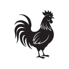 rooster silhouette vector, black and white silhouette, vector and illustration, isolated on white background