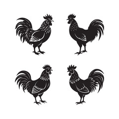 set of rooster silhouette vector, black and white silhouette, vector and illustration, isolated on white background