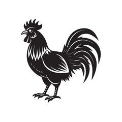 rooster silhouette vector, black and white silhouette, vector and illustration
