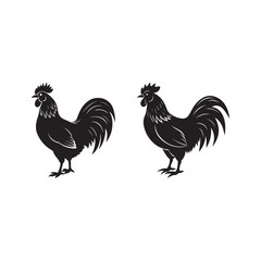 set of rooster silhouette vector, black and white silhouette, vector and illustration, isolated on white background