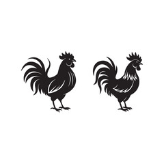 set of rooster silhouette vector, black and white silhouette, vector and illustration, isolated on white background