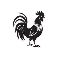 rooster silhouette vector, black and white silhouette, vector and illustration, isolated on white background