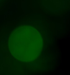 une bille de bokeh de couleur verte, pour arrière plan, ressources graphique