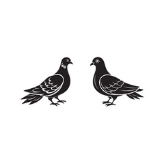 pigeon silhouette vector, black and white silhouette, vector and illustration