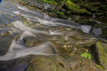Langzeitbelichtung eines kleinen Wasserfalls im Wald