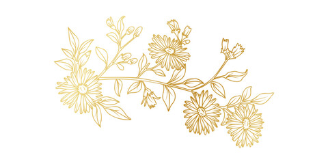Golden Aster flowers line art isolated on white background. Luxury Aster floral design elements for invitation, wedding, wallpaper, print template, vector illustration