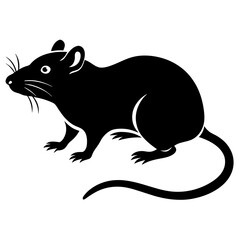 image of a mouse