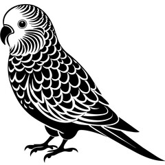 sketch of a bird