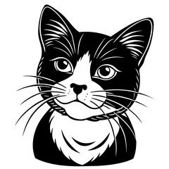 illustration of a cat
