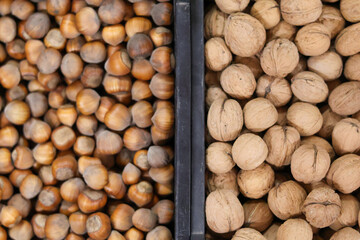 A close-up of walnuts and hazelnuts lying next to each other