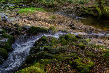 Ein kleiner Wasserfall im Wald