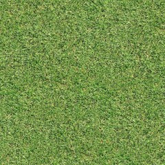 Seamless texture of the grass surface