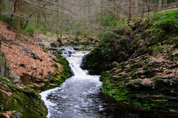 Beautiful waterfall in the river Hoegne, in Jalhay, Ardennes, Belgium. Dark and moody