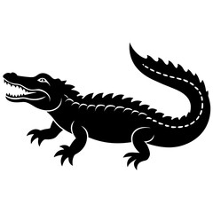 image of a crocodile