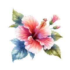 watercolor hibiscus flower