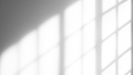 Light from a window on a white wall.