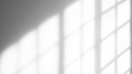 Light from a window on a white wall.