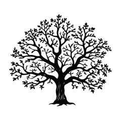 Obraz premium white-oak-tree-silhouette