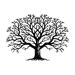 white-oak-tree-silhouette