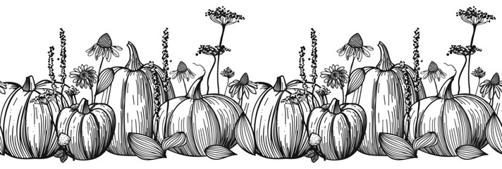 Pumpkin vegetable black and white engraving vector illustration. Seamless border