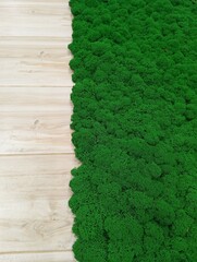 green grass on white background