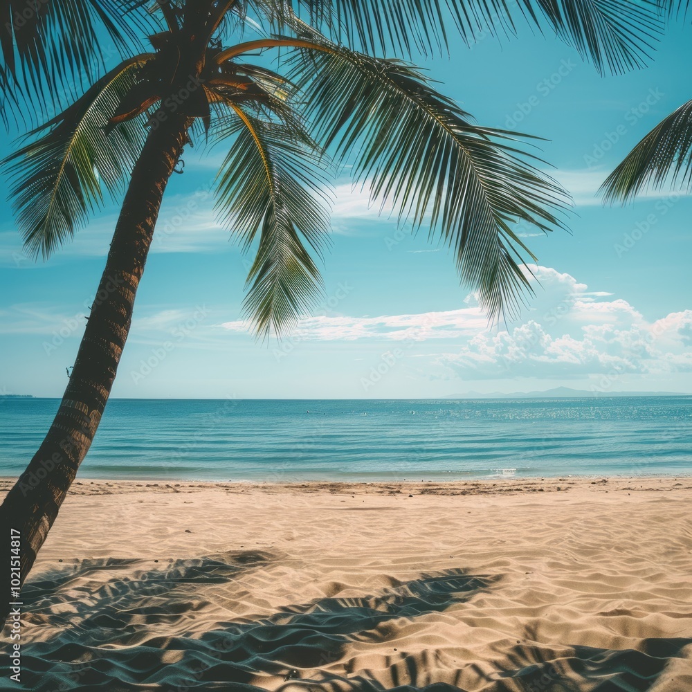 Poster A palm tree is standing on a beach with the ocean in the background